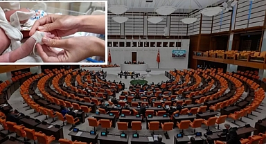 Meclis, Bebek Ölümlerini Araştırmak Üzere Özel Komisyon Kurdu