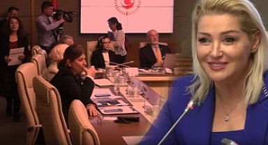 Muhalefet, Zahide Yetiş'in Komisyon Sunumuna Tepki Gösterdi, AK Parti'li Zengin'den Yanıt: Dehşet İşler Oluyor