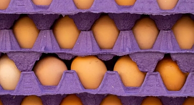 ABD'deki Yumurta Krizine Türkiye'nin Katkısı Büyüyor