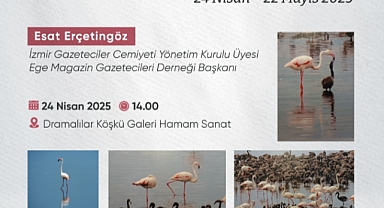 Bornova’da Objektife Yansıyan Doğal Güzellik: “Flamingo Adası” Fotoğraf Sergisi Açılıyor