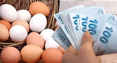 Yumurta Fiyatları Altın Fiyatlarını Geride Bıraktı: Son 9 Ayda İki Kat Artış