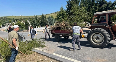 Altıeylül Belediyesi, Kurban Bayramı Öncesinde Çınarlıdere Mezarlığı’nda Kapsamlı Bakım ve Temizlik Çalışmaları Yürütüyor