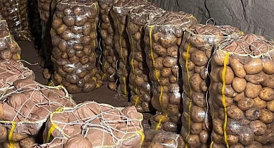 Yurt Dışından Gelen 2 Bin Tondan Fazla Patates Virüslü Çıktı