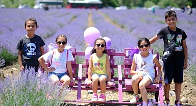 Altıeylül’de Mor Bir Rüya: Lavanta Günleri Başlıyor