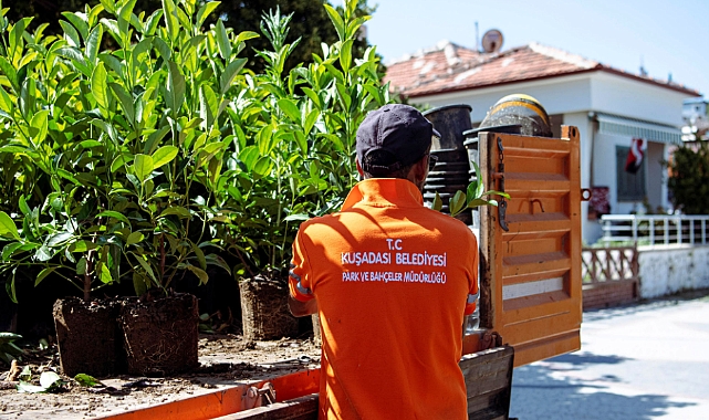 Kuşadası Kadınlar Denizi Sahilinde Peyzaj ve Çevre Düzenleme Çalışmaları Başladı