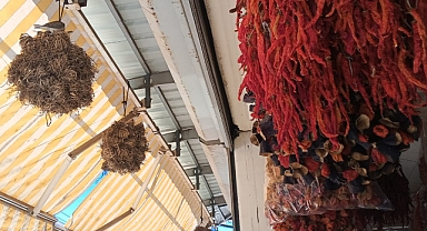 İzmir'de Kumruların Yaşam Savaşı: Bir Toptancının Duyarlılığı Örnek Oldu